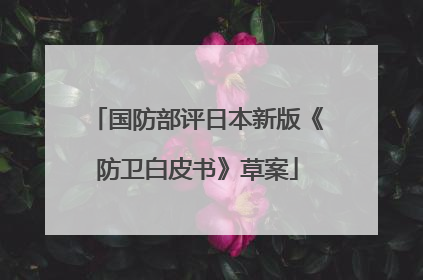 国防部评日本新版《防卫白皮书》草案