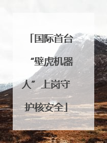国际首台“壁虎机器人”上岗守护核安全
