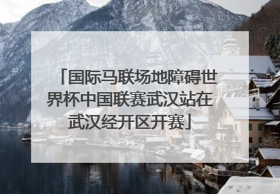 国际马联场地障碍世界杯中国联赛武汉站在武汉经开区开赛