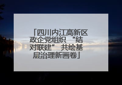 四川内江高新区政企党组织 “结对联建” 共绘基层治理新画卷