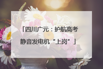 四川广元：护航高考 静音发电机“上岗”