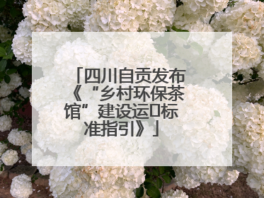 四川自贡发布《“乡村环保茶馆”建设运⾏标准指引》