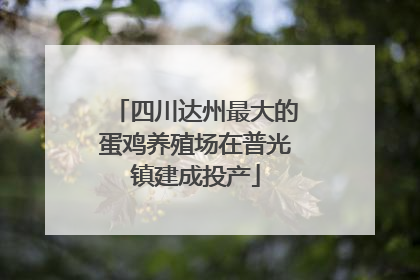 四川达州最大的蛋鸡养殖场在普光镇建成投产