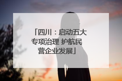 四川：启动五大专项治理 护航民营企业发展
