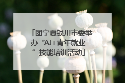 团宁夏银川市委举办“AI+青年就业”技能培训活动