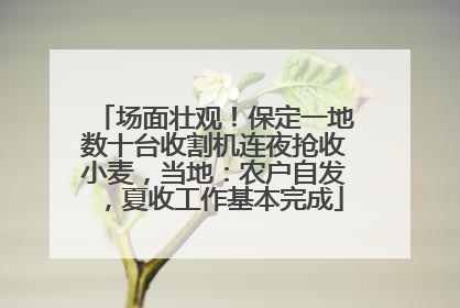 场面壮观！保定一地数十台收割机连夜抢收小麦，当地：农户自发，夏收工作基本完成