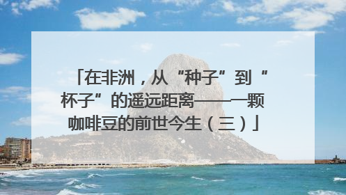 在非洲，从“种子”到“杯子”的遥远距离——一颗咖啡豆的前世今生（三）