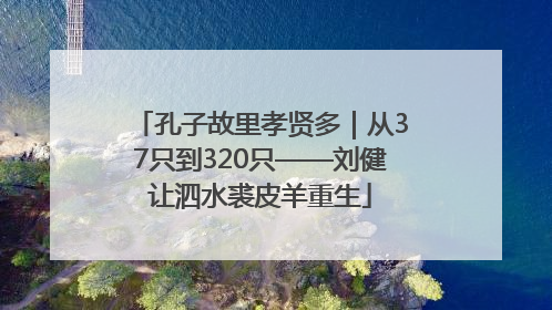 孔子故里孝贤多｜从37只到320只——刘健让泗水裘皮羊重生