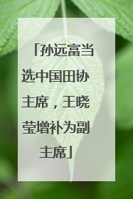 孙远富当选中国田协主席，王晓莹增补为副主席