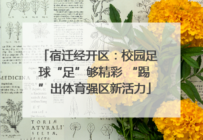 宿迁经开区：校园足球“足”够精彩 “踢”出体育强区新活力