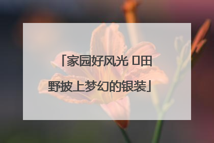 家园好风光 ⎮田野披上梦幻的银装