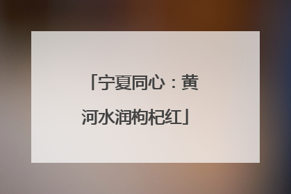 宁夏同心：黄河水润枸杞红