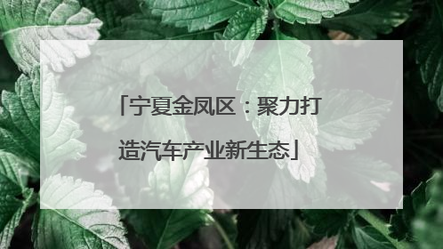 宁夏金凤区：聚力打造汽车产业新生态
