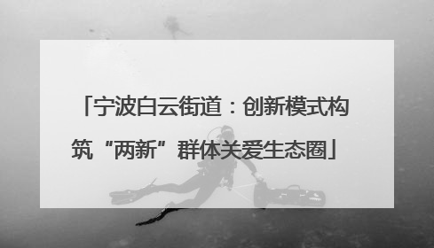 宁波白云街道：创新模式构筑“两新”群体关爱生态圈