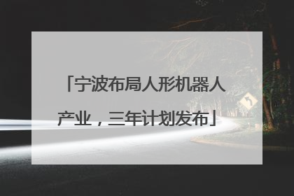 宁波布局人形机器人产业，三年计划发布