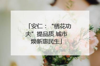 安仁：“绣花功夫”提品质 城市焕新惠民生