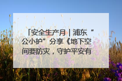 安全生产月｜浦东“公小护”分享《地下空间要防灾，守护平安有我在》安全谣
