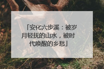安化六步溪：被岁月轻抚的山水，被时代唤醒的乡愁