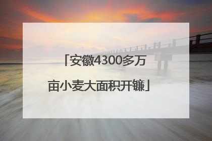 安徽4300多万亩小麦大面积开镰