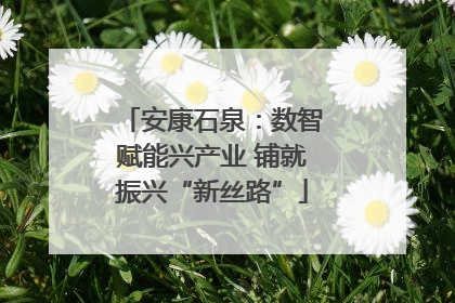 安康石泉：数智赋能兴产业 铺就振兴“新丝路”