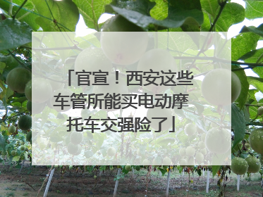 官宣！西安这些车管所能买电动摩托车交强险了
