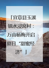 宜章县玉溪镇水浸窝村：万亩杨梅开启夏日“甜蜜经济”