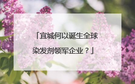 宜城何以诞生全球染发剂领军企业？