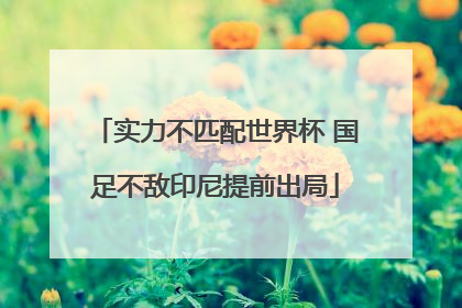 实力不匹配世界杯 国足不敌印尼提前出局