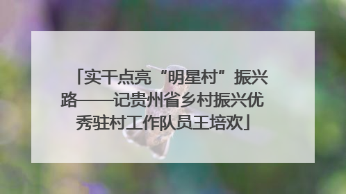 实干点亮“明星村”振兴路——记贵州省乡村振兴优秀驻村工作队员王培欢