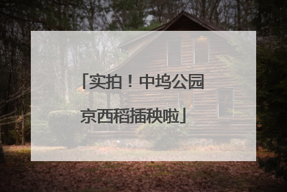实拍！中坞公园京西稻插秧啦