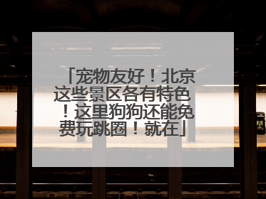 宠物友好！北京这些景区各有特色！这里狗狗还能免费玩跳圈！就在