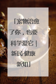 宠物治愈了你，也要科学爱它｜新民·健康新知