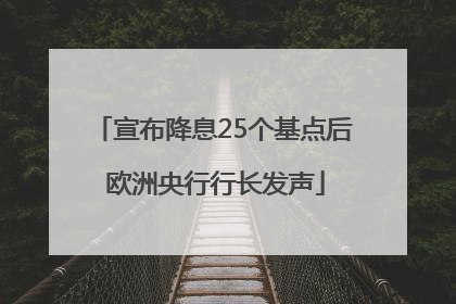 宣布降息25个基点后 欧洲央行行长发声