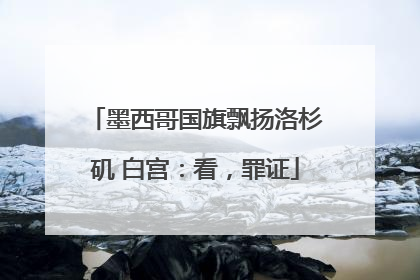 墨西哥国旗飘扬洛杉矶 白宫：看，罪证