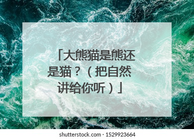 大熊猫是熊还是猫？（把自然讲给你听）