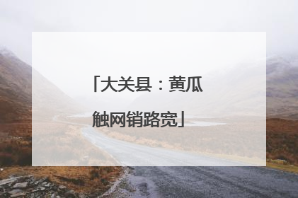 大关县：黄瓜触网销路宽