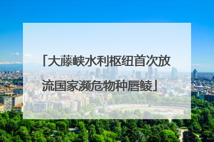 大藤峡水利枢纽首次放流国家濒危物种唇鲮