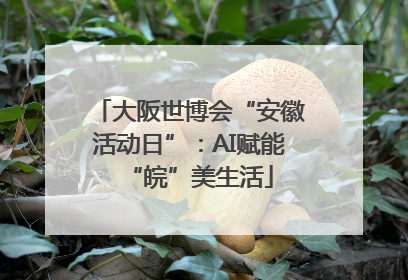 大阪世博会“安徽活动日”：AI赋能“皖”美生活
