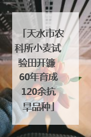 天水市农科所小麦试验田开镰 60年育成120余抗旱品种