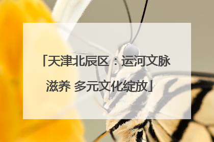 天津北辰区：运河文脉滋养 多元文化绽放