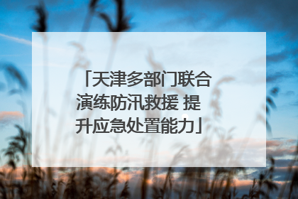 天津多部门联合演练防汛救援 提升应急处置能力