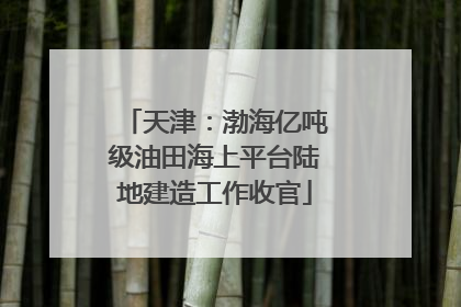 天津：渤海亿吨级油田海上平台陆地建造工作收官