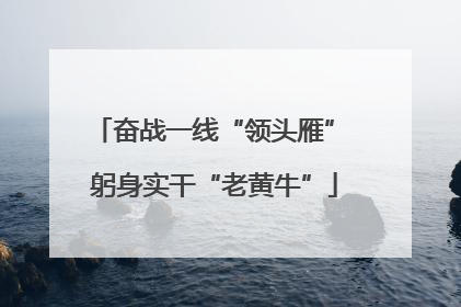 奋战一线“领头雁” 躬身实干“老黄牛”