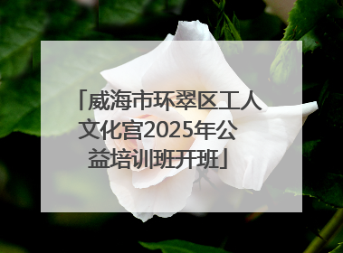 威海市环翠区工人文化宫2025年公益培训班开班