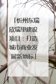 忻州东瑞欣瑞里建设项目：打造城市商业发展新地标
