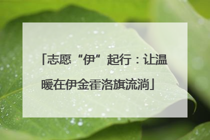志愿“伊”起行：让温暖在伊金霍洛旗流淌