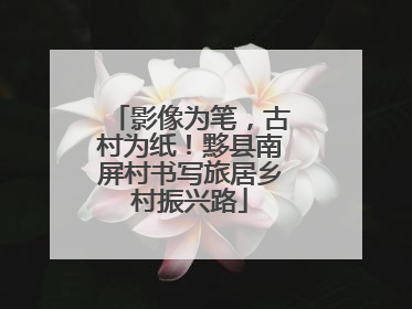 影像为笔，古村为纸！黟县南屏村书写旅居乡村振兴路