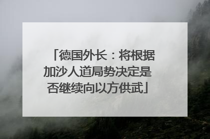 德国外长：将根据加沙人道局势决定是否继续向以方供武