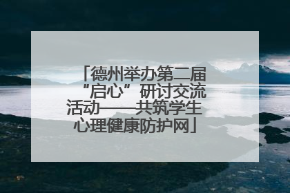 德州举办第二届“启心”研讨交流活动——共筑学生心理健康防护网
