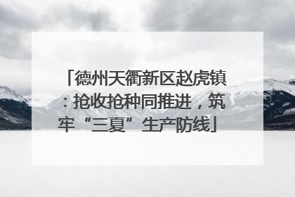 德州天衢新区赵虎镇：抢收抢种同推进，筑牢“三夏”生产防线